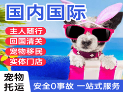 呼伦贝尔海拉尔机场货运国际宠物托运 【国